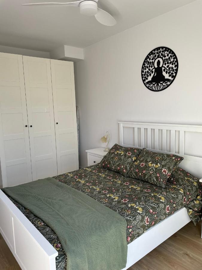 Acogedor Apartamento Vallparadis Con Parking テラサ エクステリア 写真
